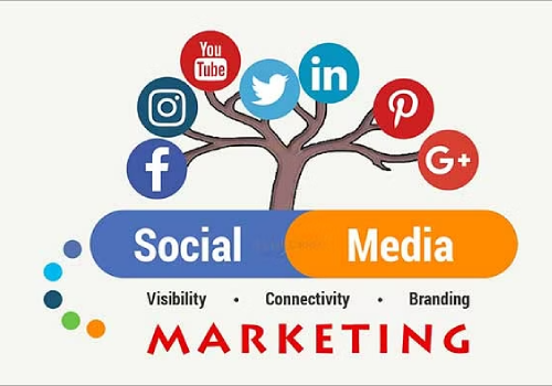 Social Media Marketing Services​